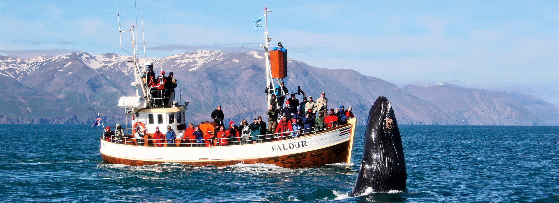 BALLENAS EN HÚSAVÍK